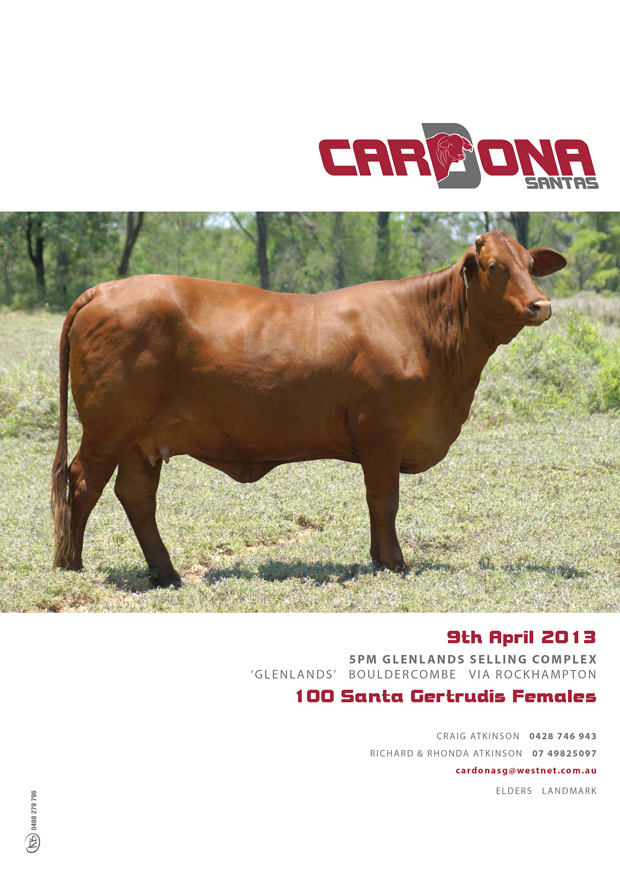 Cardona Sale 2013 Journal
