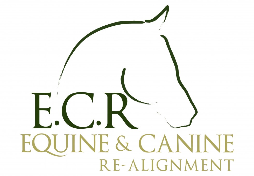 ECR_Logo_v2