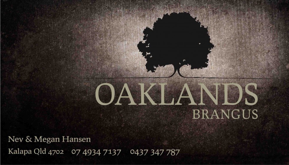 Oakland-Banner_2014