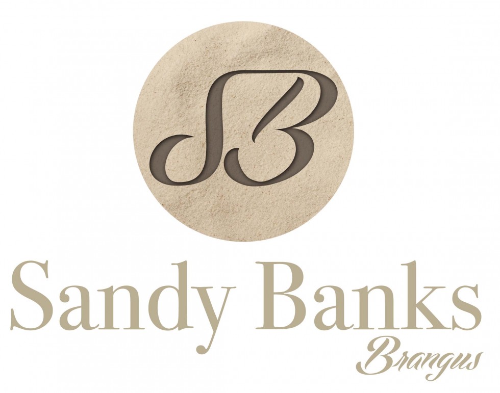 Sandy-Banks-Logo