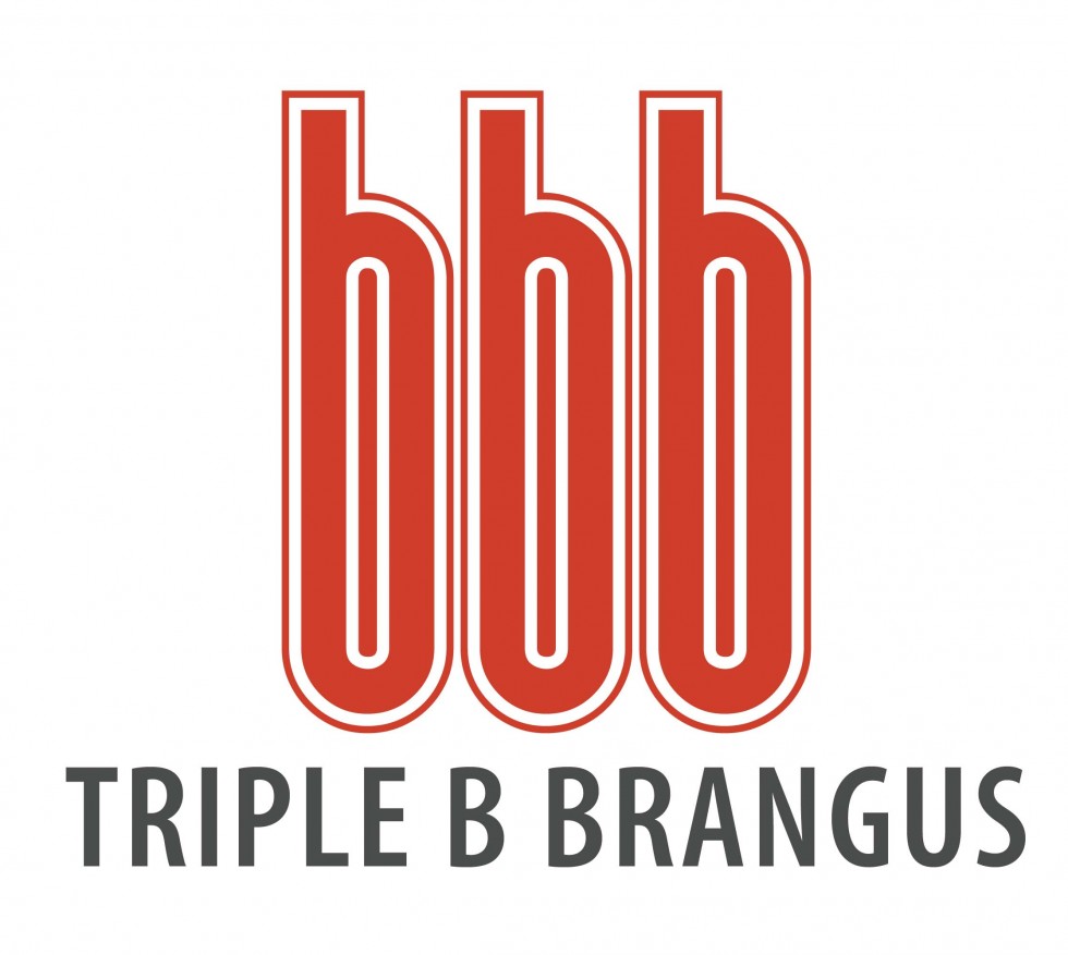 Triple-B_Logo_2013