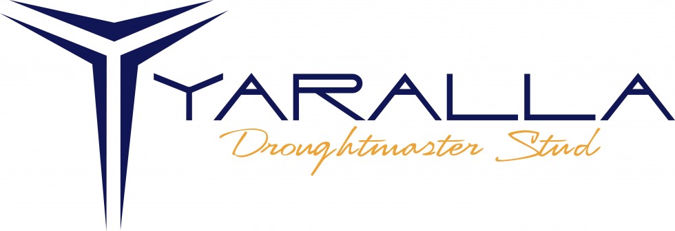 Yaralla-Droughtmaster-Stud-Logo copy_RGB
