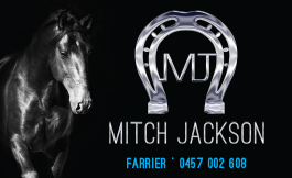 Mitch-Jackson-Bus-Card-1